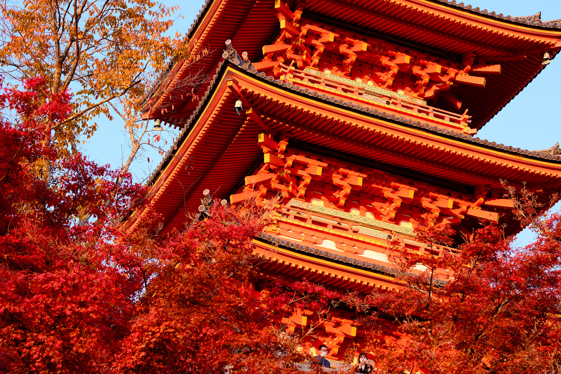 Works by M&A Photography Studio